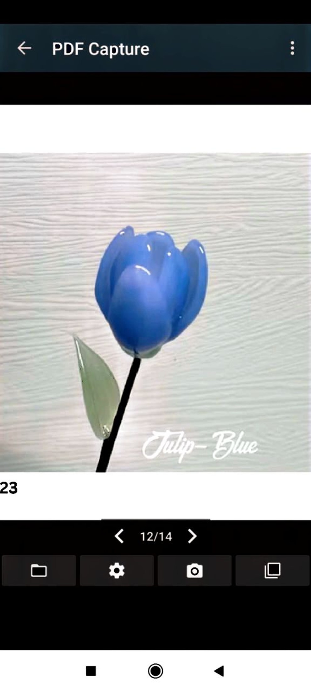 natural and artistic